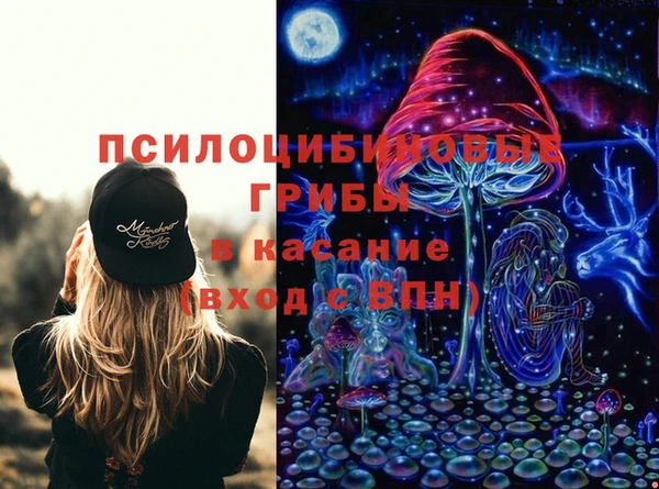 шишки Балахна